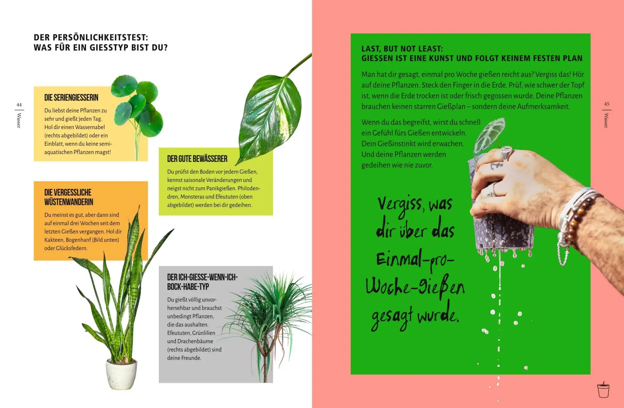 Bild: 9783758900471 | You're overwatering it! | Jonny Balchandani | Buch | 224 S. | Deutsch