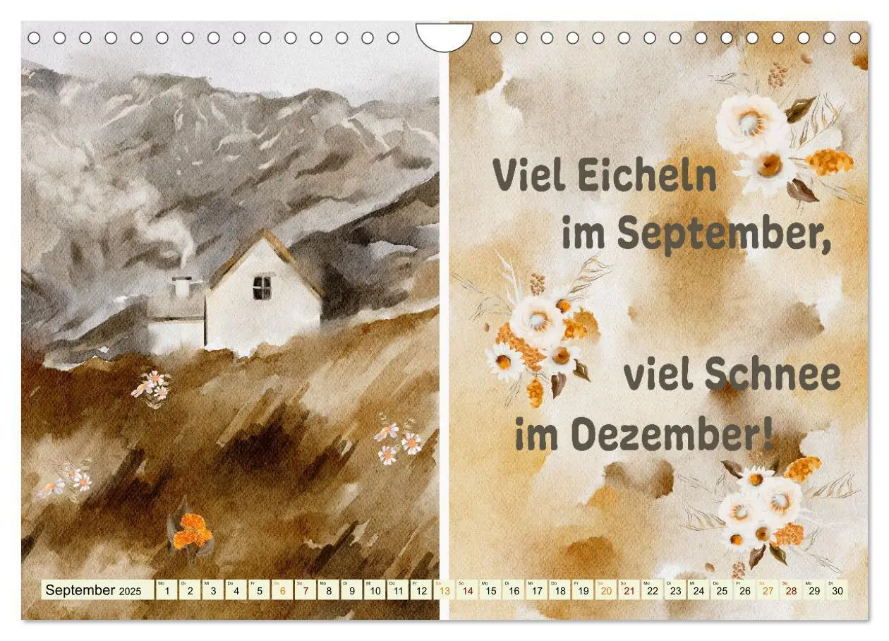 Bild: 9783435080571 | Regeln für das Wetter (Wandkalender 2025 DIN A4 quer), CALVENDO...