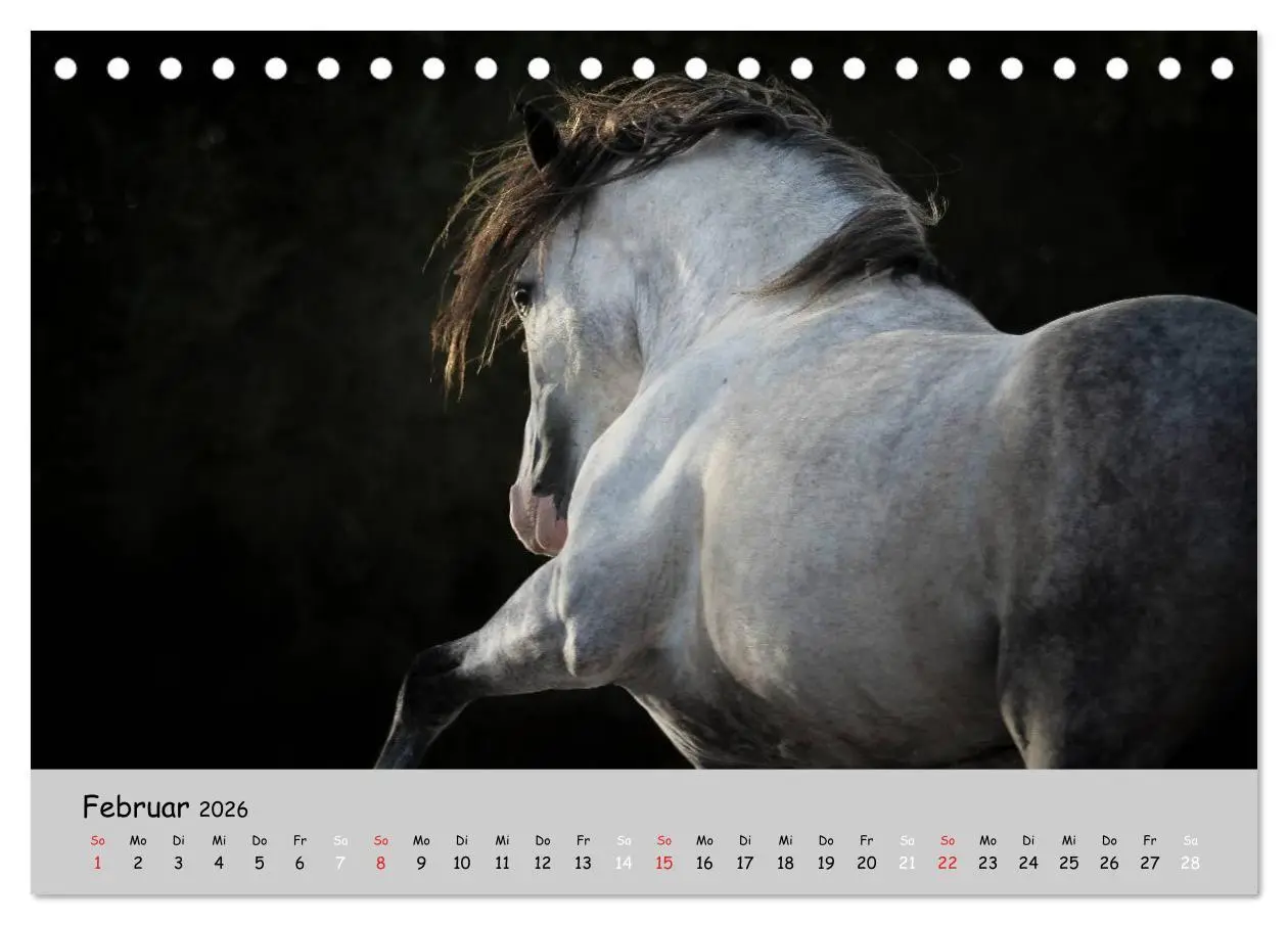 Bild: 9783516020571 | Pferde - Anmut und Stärke gepaart mit Magie (Tischkalender 2026 DIN...