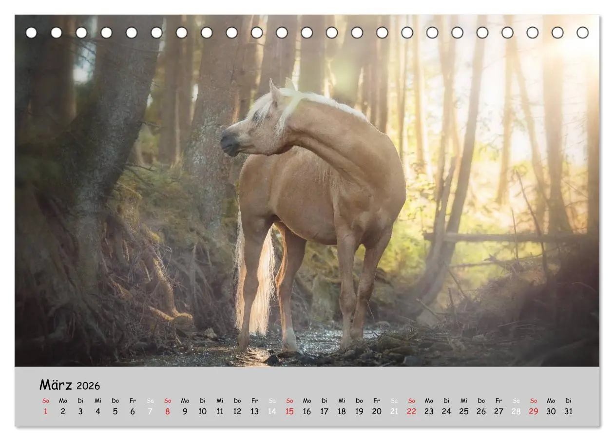 Bild: 9783516020571 | Pferde - Anmut und Stärke gepaart mit Magie (Tischkalender 2026 DIN...