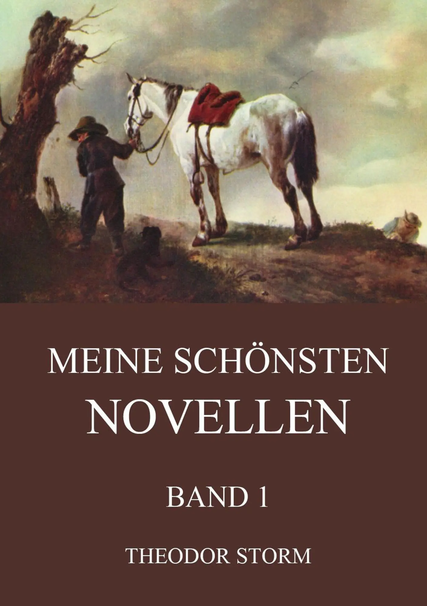 Cover: 9783849690571 | Meine schönsten Novellen, Band 1 | Theodor Storm | Taschenbuch | 2016
