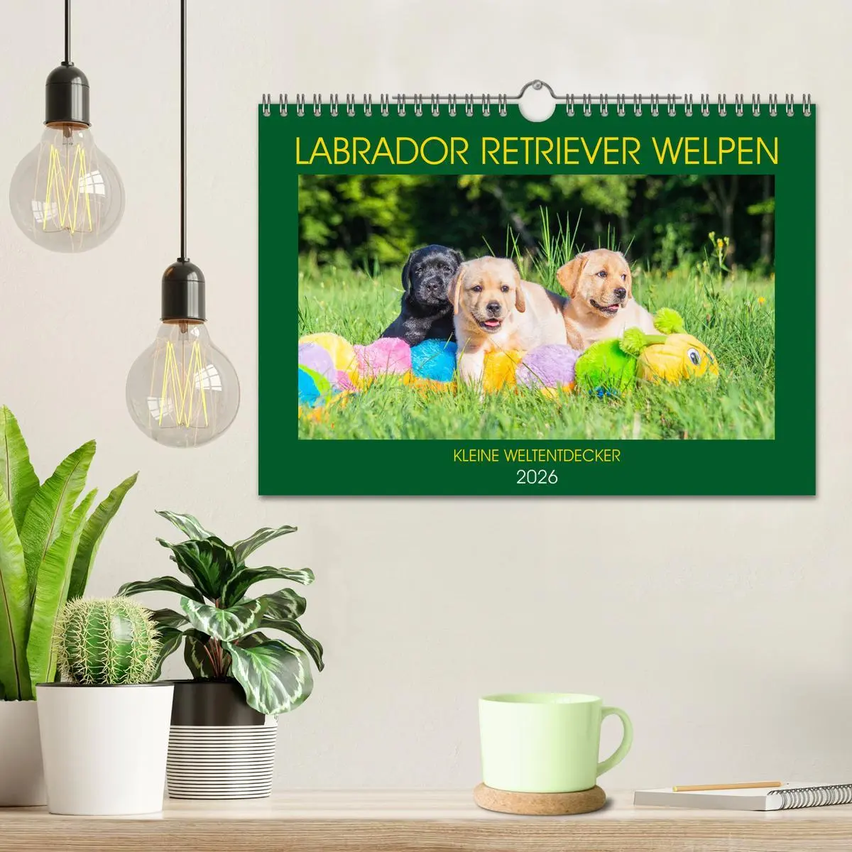 Bild: 9783457780671 | Labrador Retriever Welpen - Kleine Weltentdecker (Wandkalender 2026...