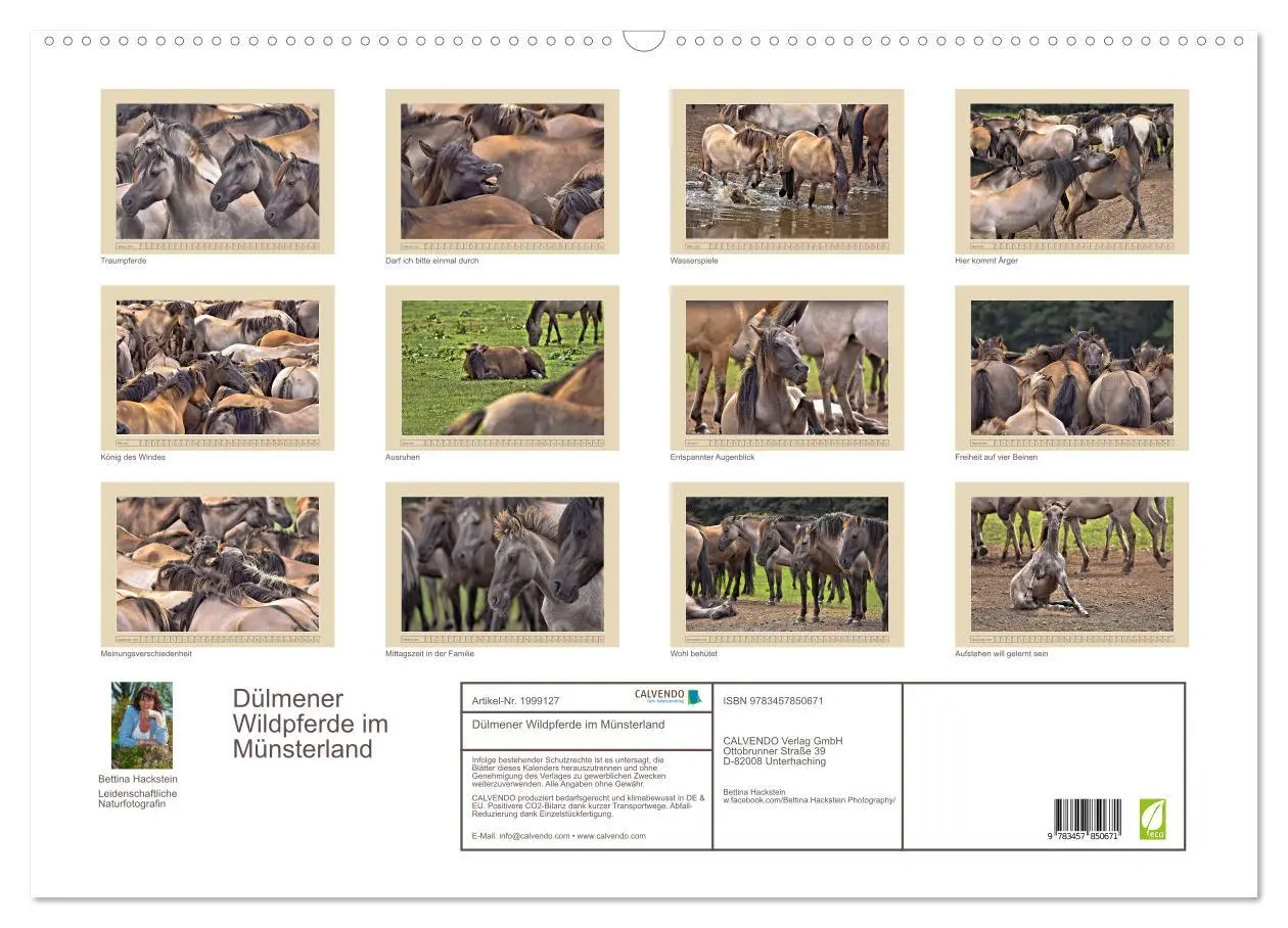 Bild: 9783457850671 | Dülmener Wildpferde im Münsterland (Wandkalender 2026 DIN A2 quer),...