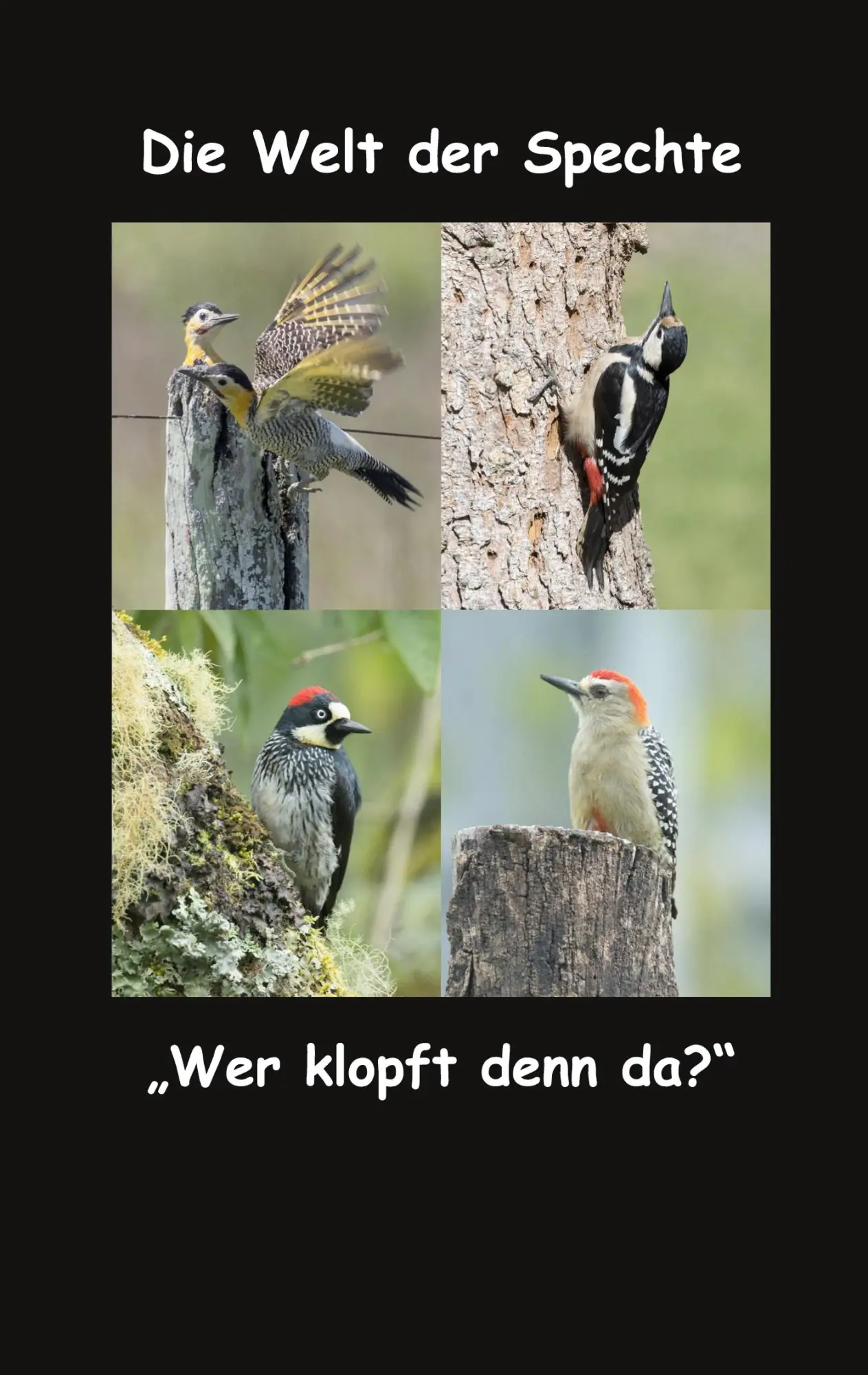 Cover: 9783753480671 | Die Welt der Spechte | "Wer klopft denn da?" | Fotolulu | Taschenbuch