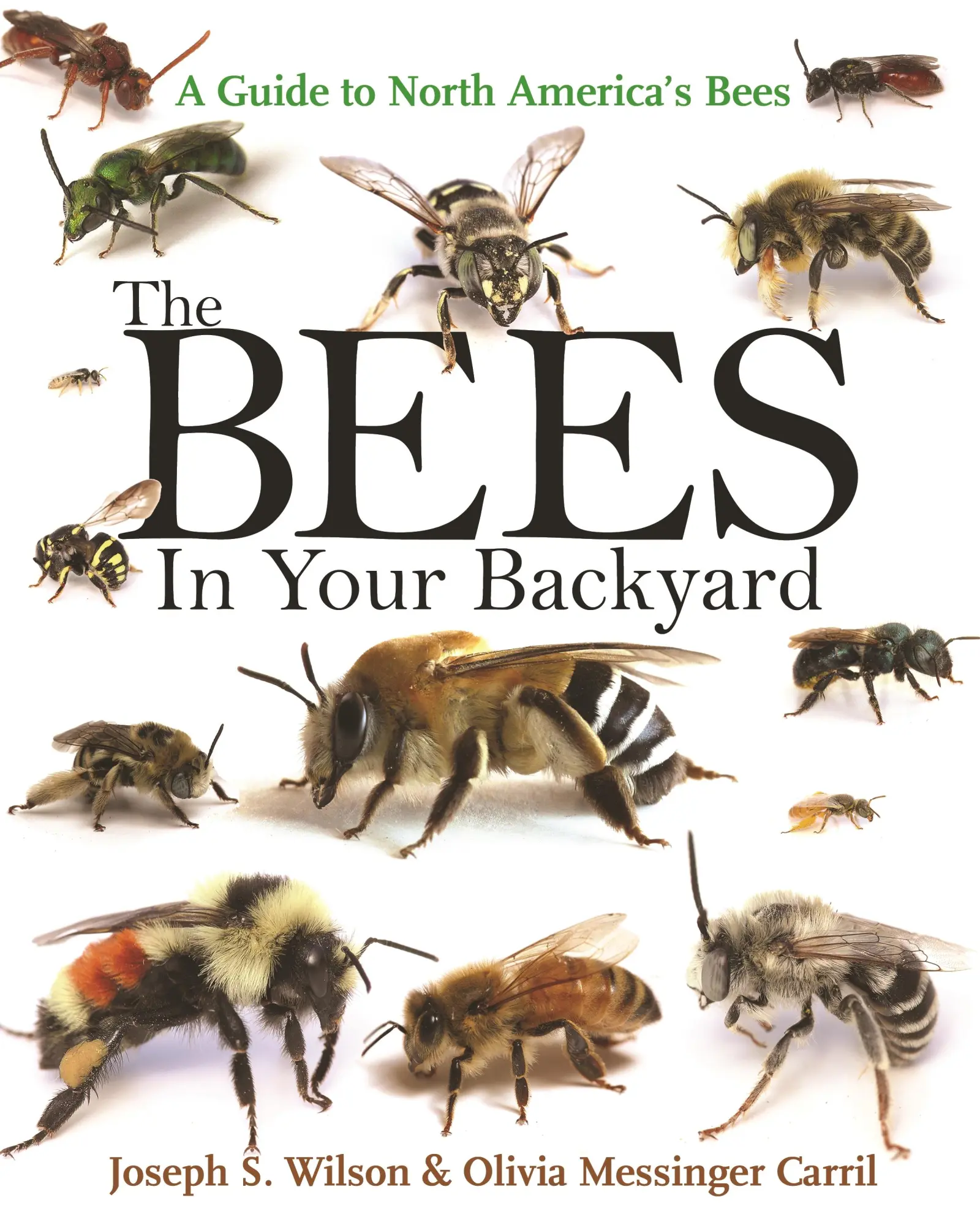 Cover: 9780691160771 | The Bees in Your Backyard | A Guide to North America's Bees | Buch