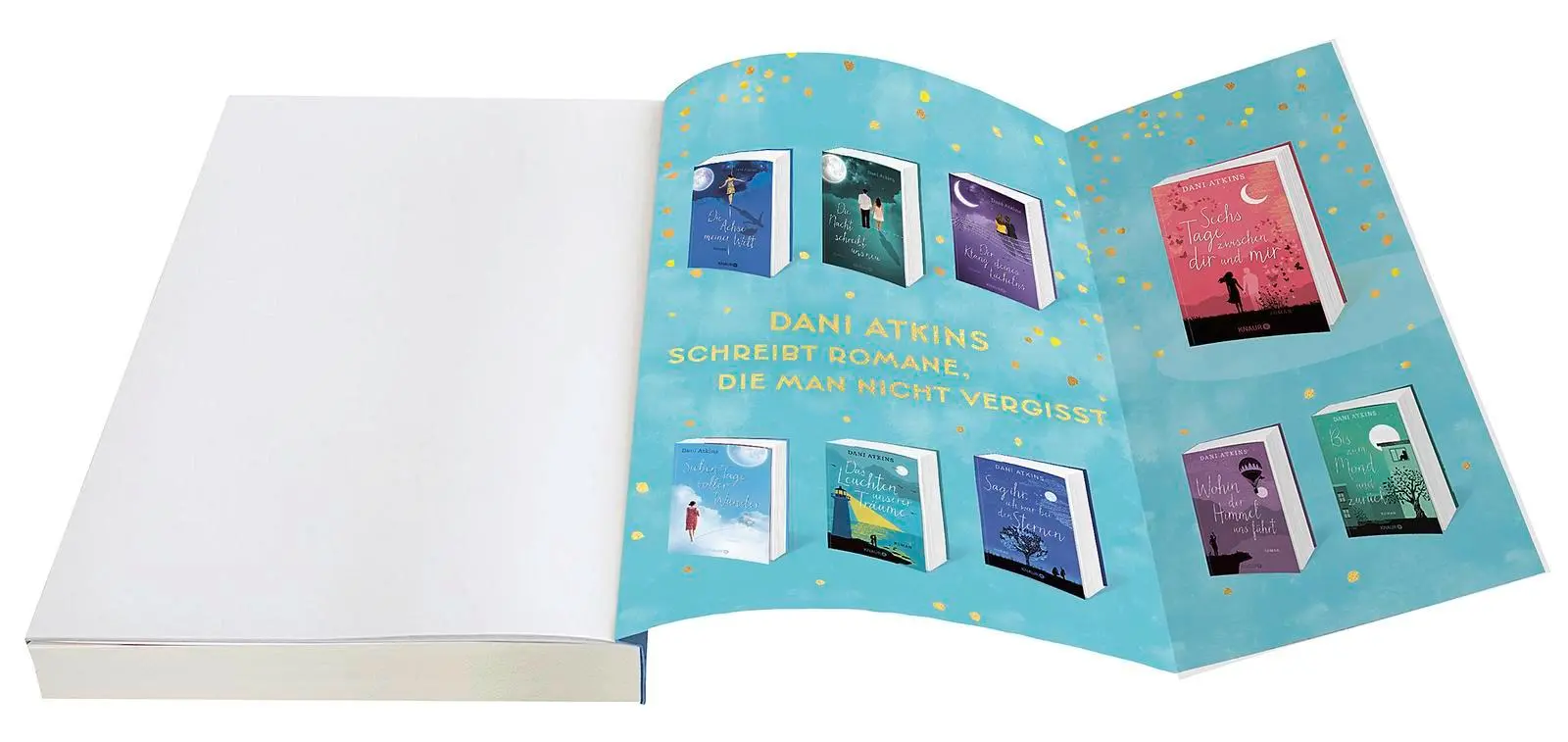 Bild: 9783426530771 | Was die Sterne dir schenken | Roman | Dani Atkins | Taschenbuch | 2024