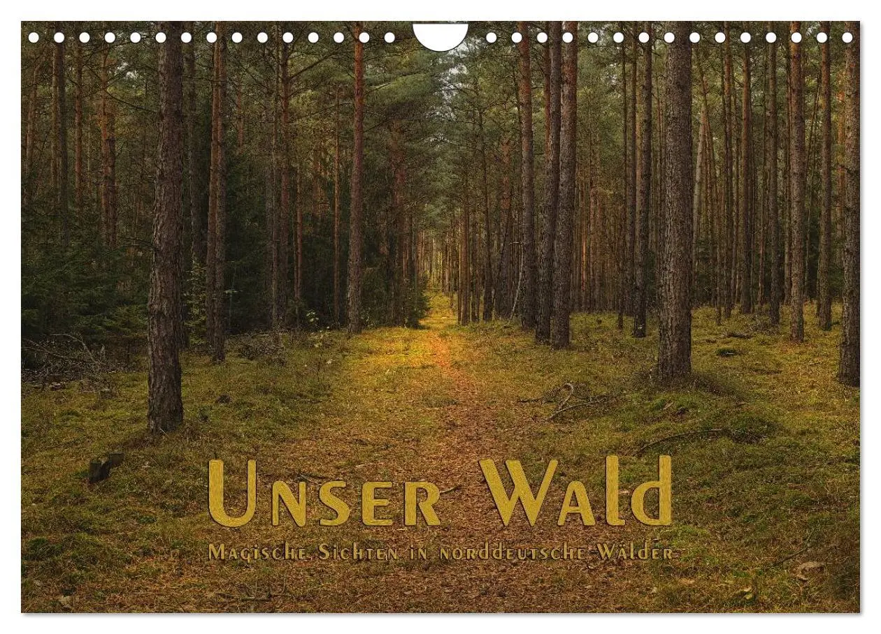 Cover: 9783516160871 | Unser Wald - Magische Sichten in norddeutsche Wälder (Wandkalender...