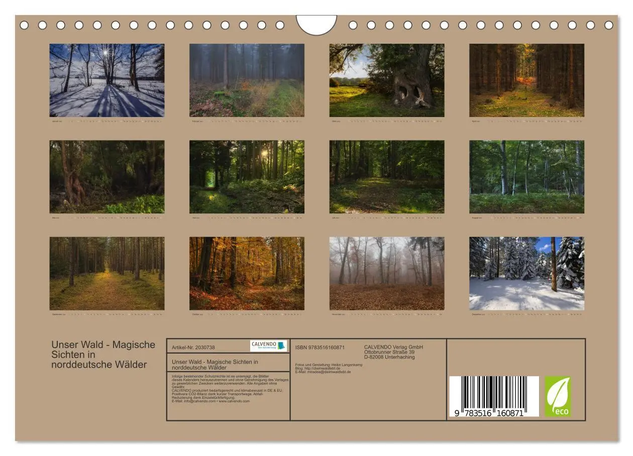 Bild: 9783516160871 | Unser Wald - Magische Sichten in norddeutsche Wälder (Wandkalender...