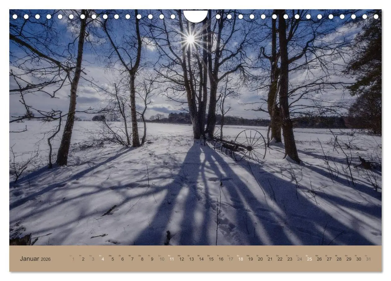 Bild: 9783516160871 | Unser Wald - Magische Sichten in norddeutsche Wälder (Wandkalender...