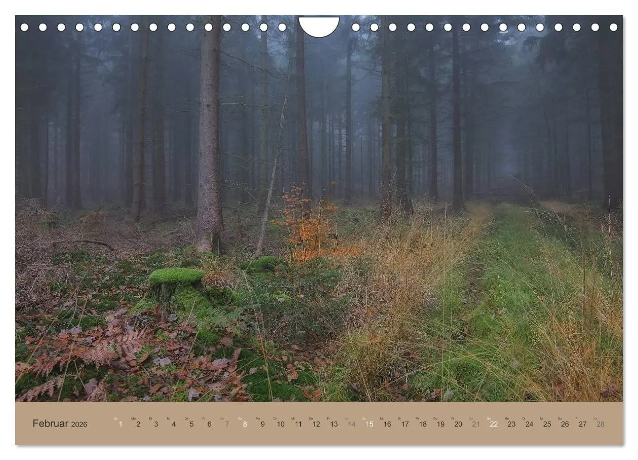 Bild: 9783516160871 | Unser Wald - Magische Sichten in norddeutsche Wälder (Wandkalender...