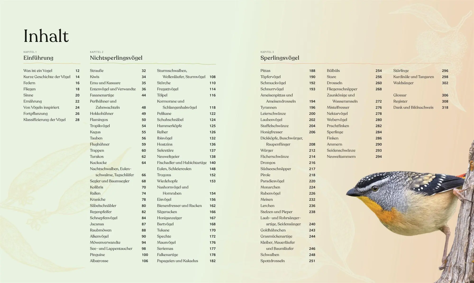 Bild: 9783831050871 | Vögel - Eine Natur- und Kulturgeschichte | Rob Hume | Buch | 320 S.