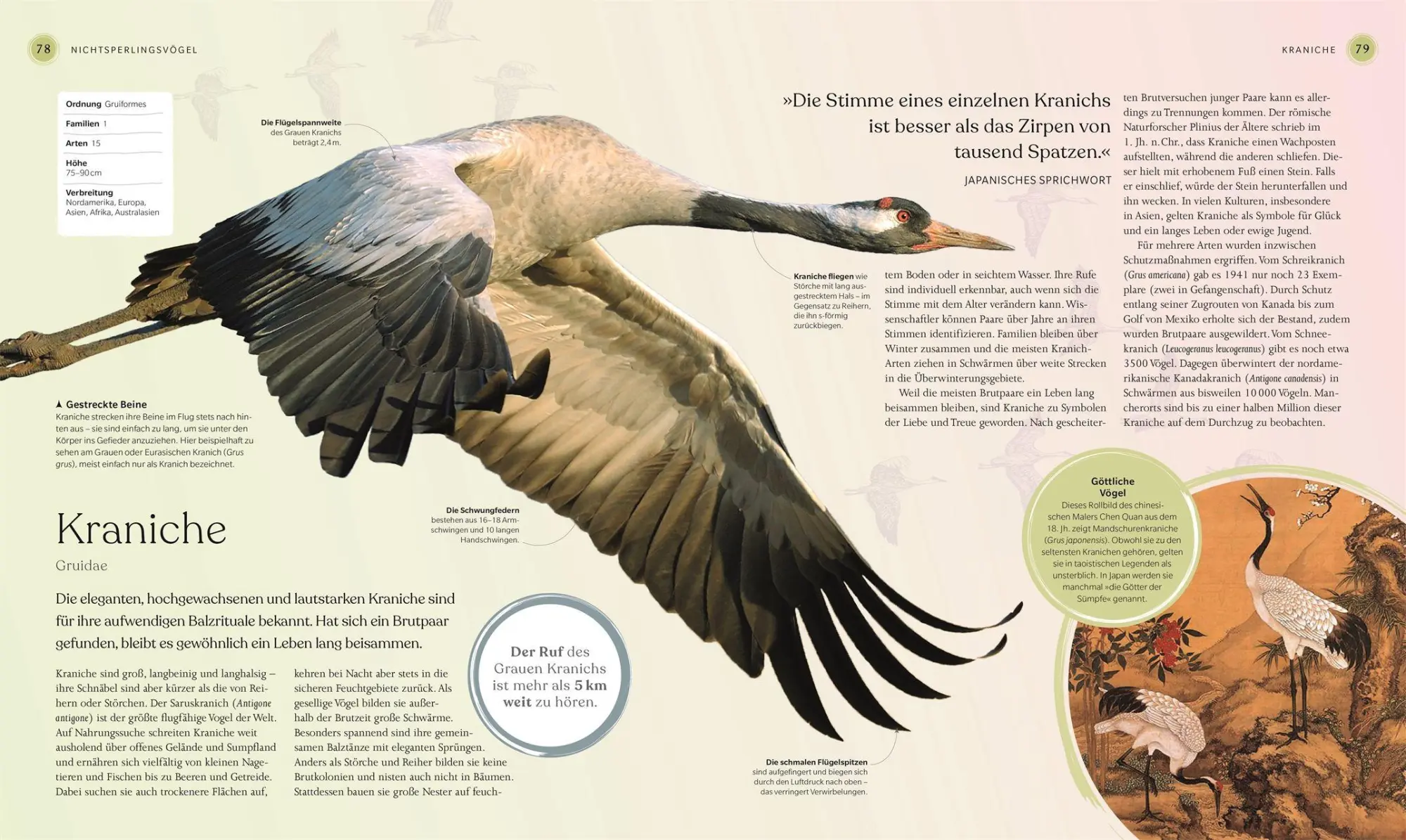Bild: 9783831050871 | Vögel - Eine Natur- und Kulturgeschichte | Rob Hume | Buch | 320 S.