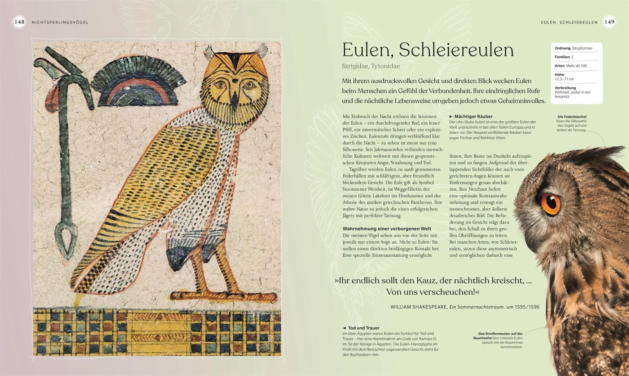 Bild: 9783831050871 | Vögel - Eine Natur- und Kulturgeschichte | Rob Hume | Buch | 320 S.