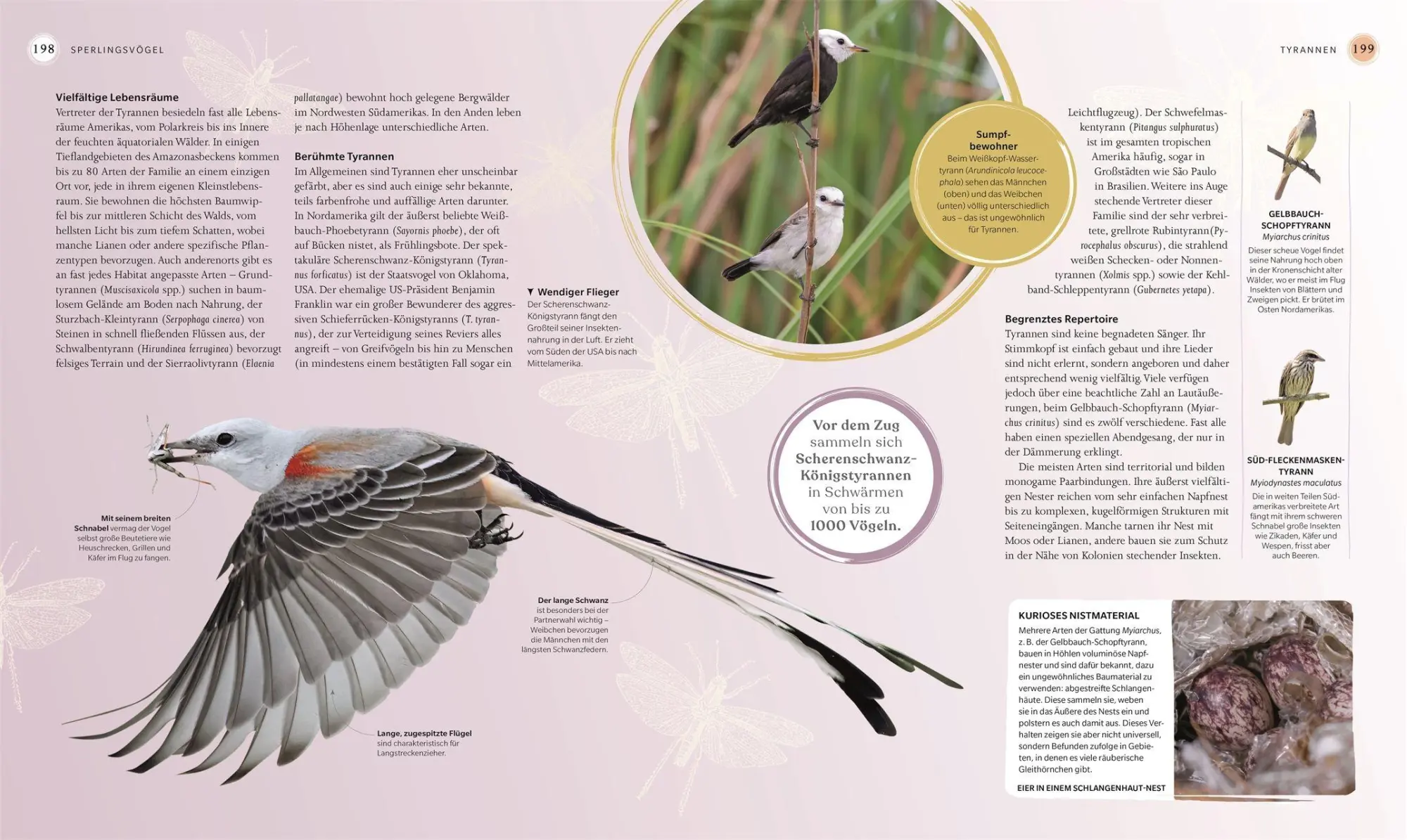 Bild: 9783831050871 | Vögel - Eine Natur- und Kulturgeschichte | Rob Hume | Buch | 320 S.