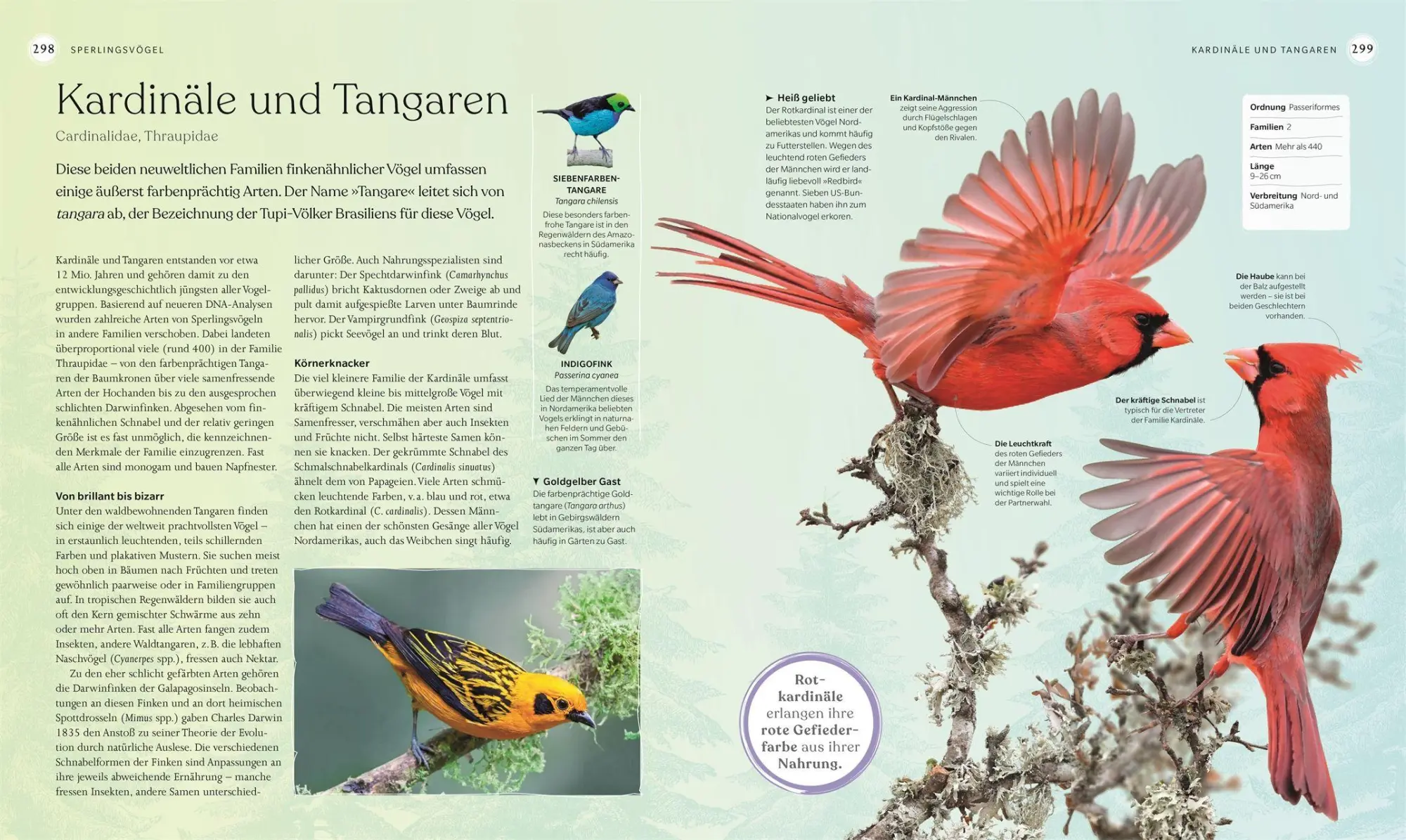 Bild: 9783831050871 | Vögel - Eine Natur- und Kulturgeschichte | Rob Hume | Buch | 320 S.
