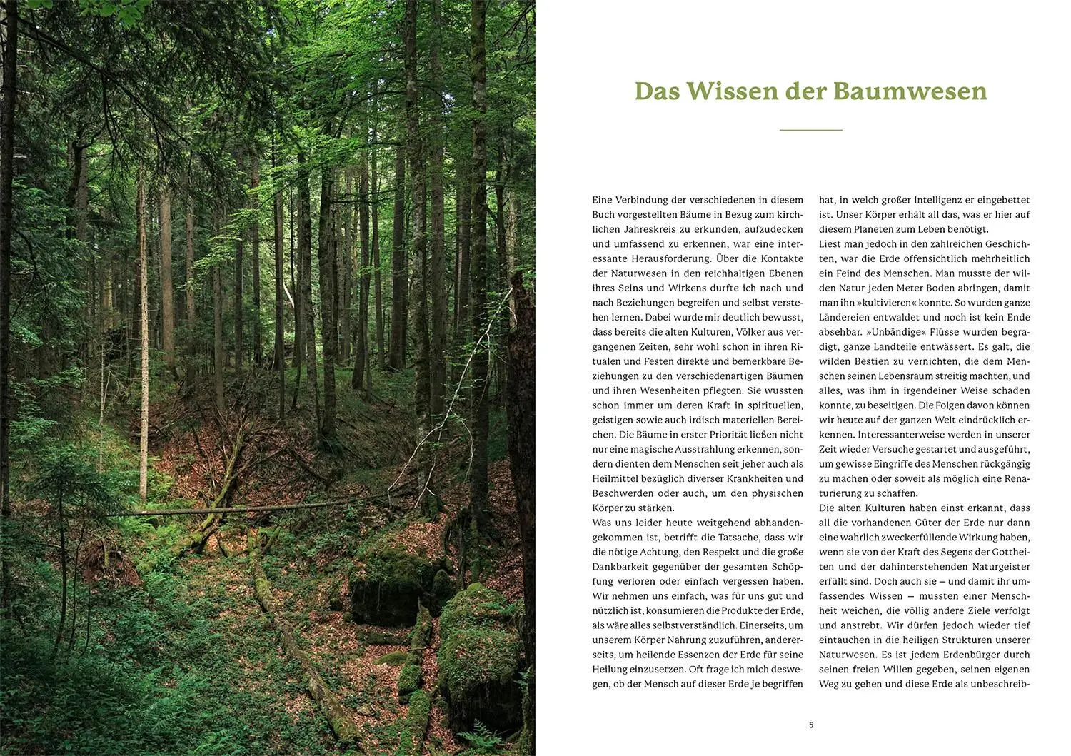 Bild: 9783968600871 | Die Weisheit der Baumwesen | Sam Hess (u. a.) | Taschenbuch | 128 S.