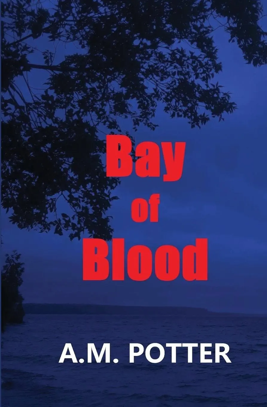 Cover: 9781644370971 | Bay of Blood | A. M. Potter | Taschenbuch | Kartoniert / Broschiert