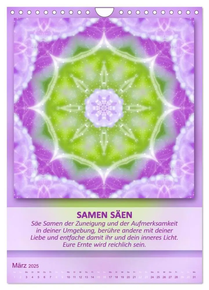Bild: 9783457060971 | Light Energy Mandalas - Kalender - Vol. 2 (Wandkalender 2025 DIN A4...