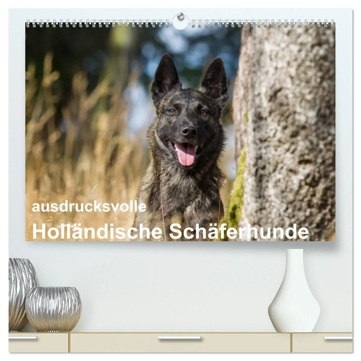 Cover: 9783516041071 | ausdrucksvolle Holländische Schäferhunde (hochwertiger Premium...