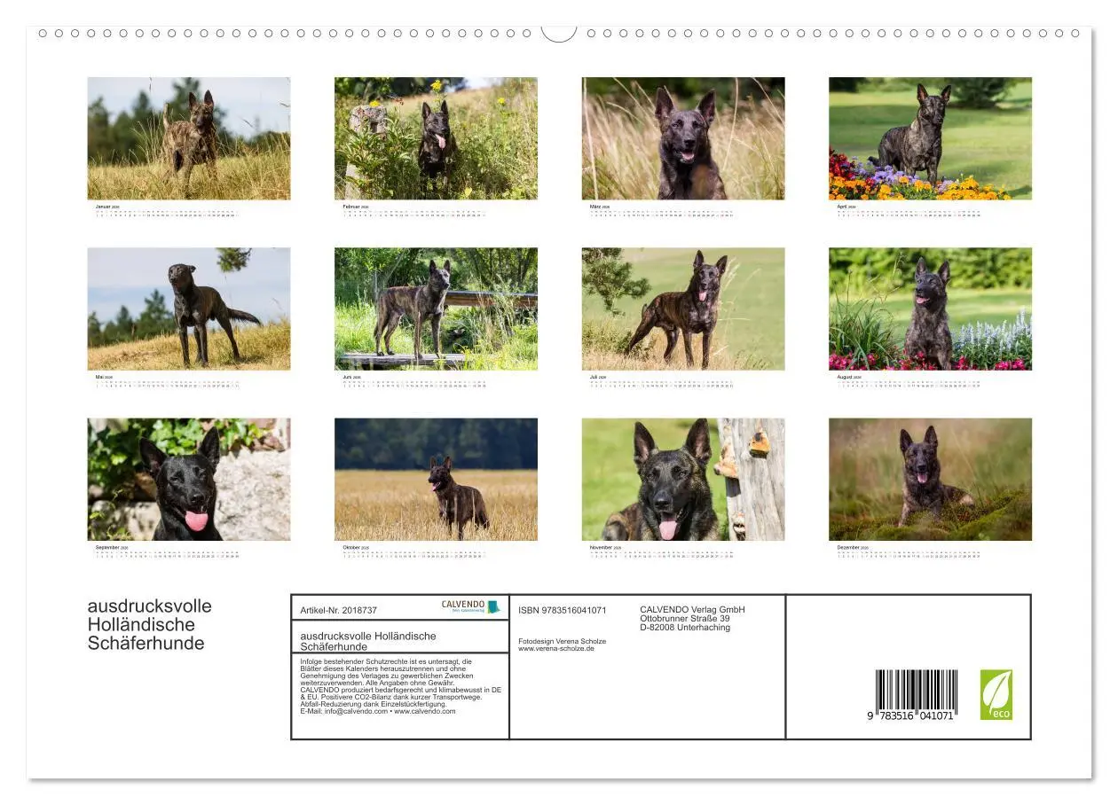 Bild: 9783516041071 | ausdrucksvolle Holländische Schäferhunde (hochwertiger Premium...
