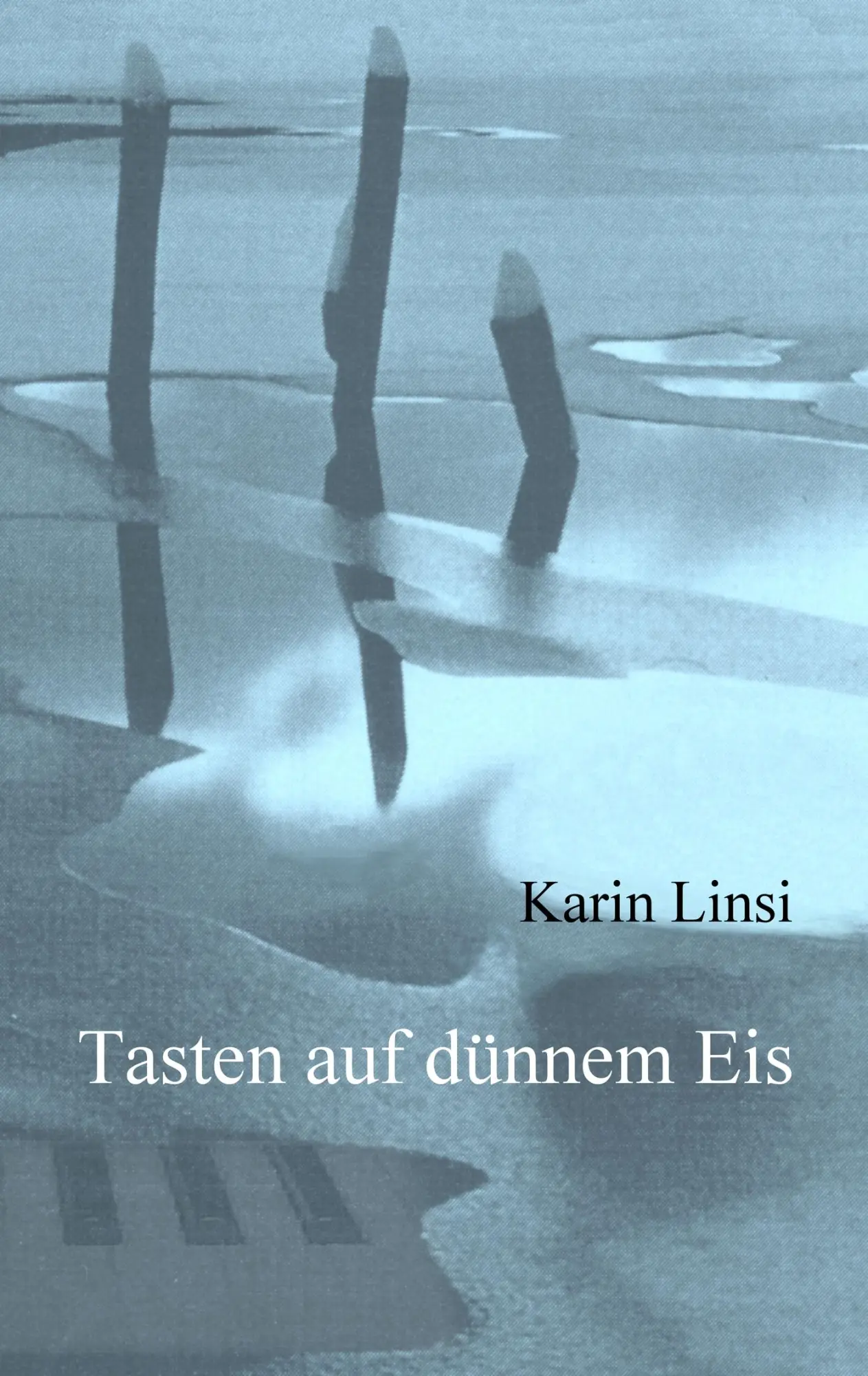 Cover: 9783833461071 | Tasten auf dünnem Eis | Karin Linsi | Taschenbuch | 232 S. | Deutsch