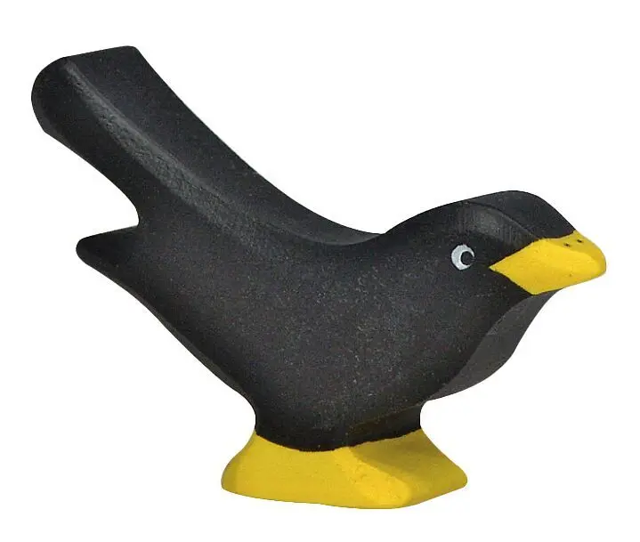 Cover: 4013594801171 | Amsel | Hangtag | 80117 | Deutsch | 2025 | Gollnest &amp; Kiesel