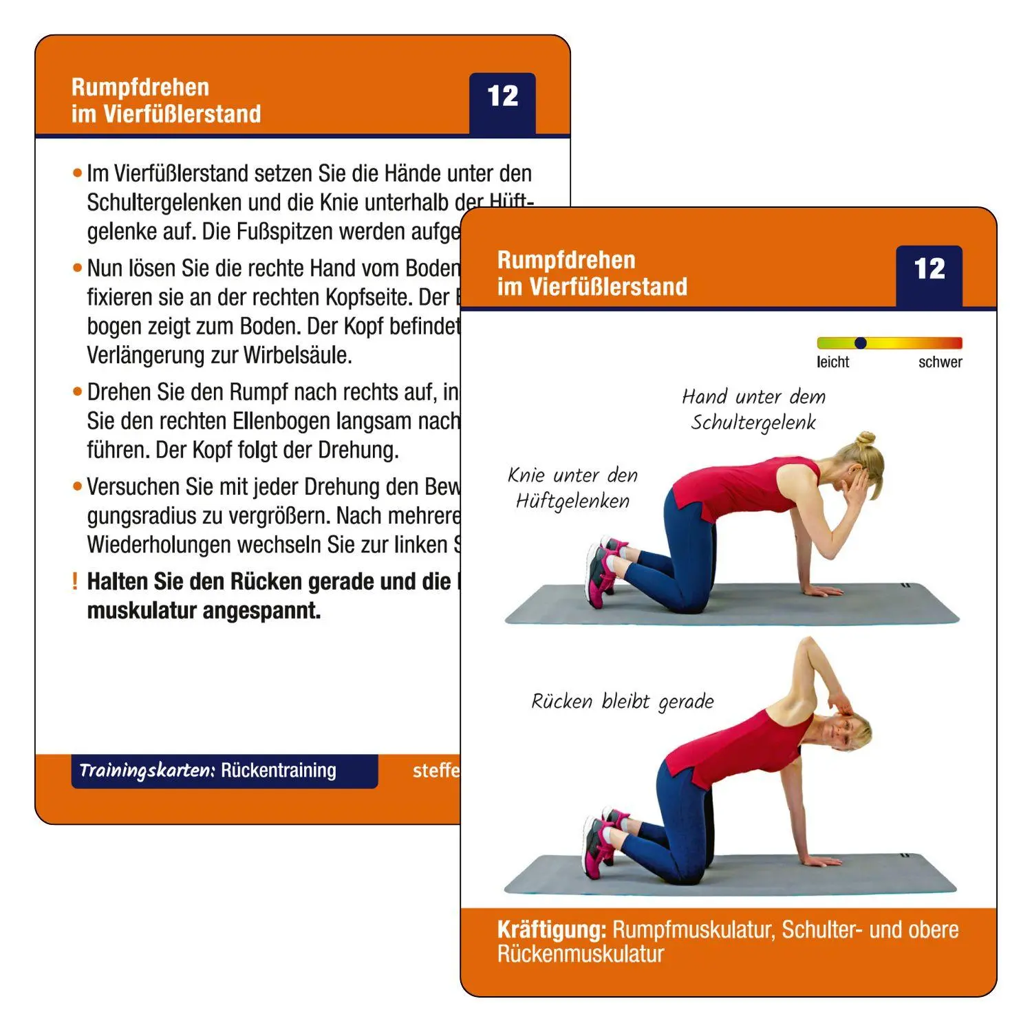 Bild: 9783957991171 | Trainingskarten: Funktionelles Rückentraining | Ronald Thomschke