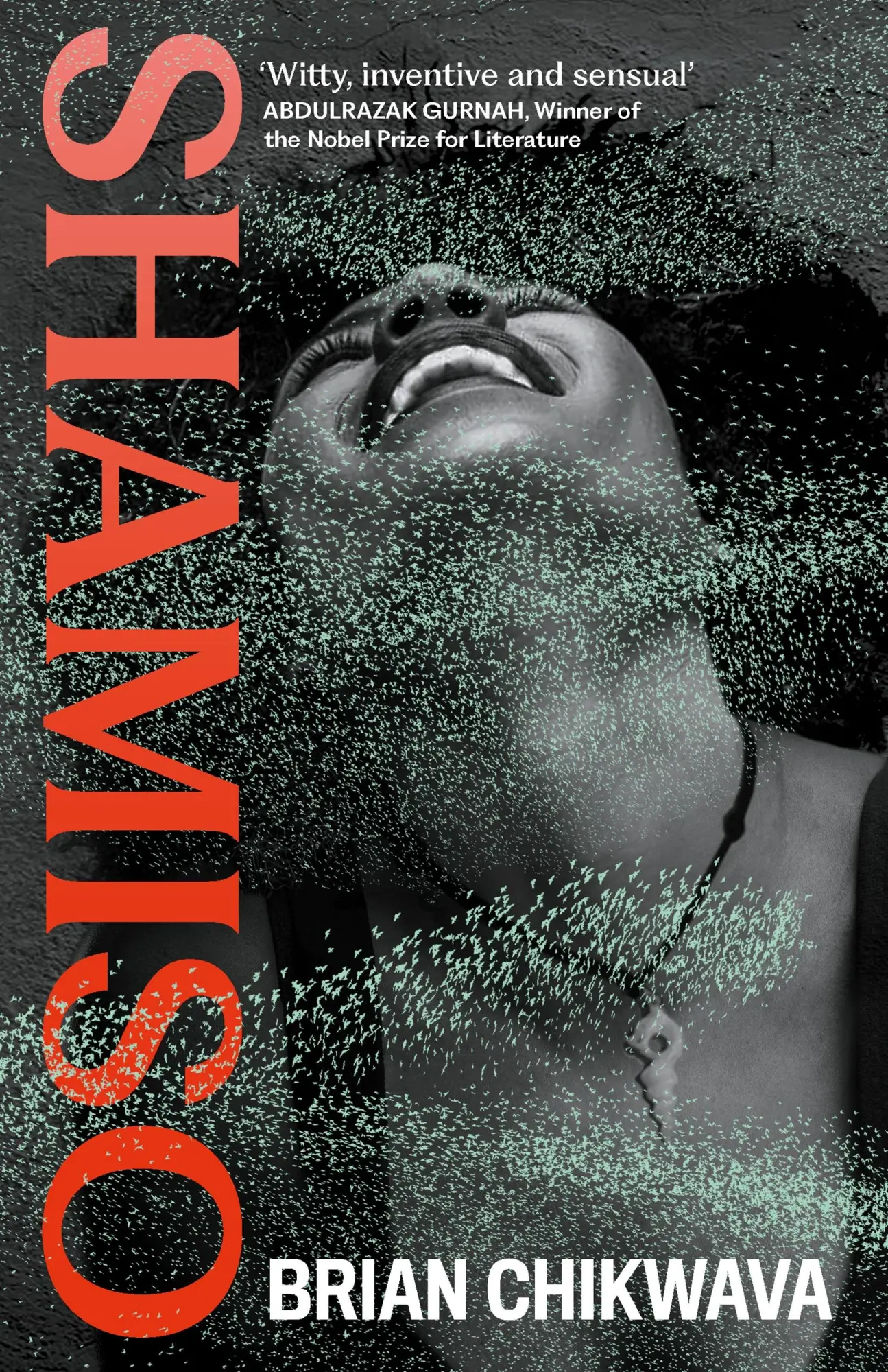 Cover: 9781805301271 | Shamiso | Brian Chikwava | Buch | Englisch | 2025 | EAN 9781805301271