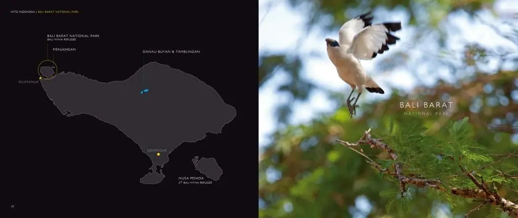Bild: 9783200041271 | INTO INDONESIA. Southern Territories | Michael Grünwald | Buch | 2015
