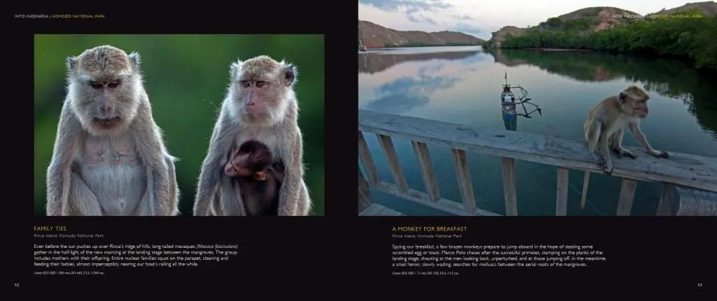 Bild: 9783200041271 | INTO INDONESIA. Southern Territories | Michael Grünwald | Buch | 2015