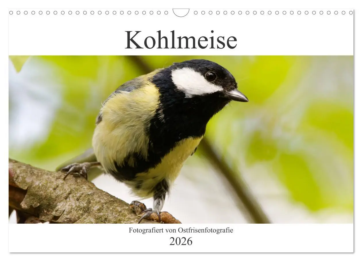 Cover: 9783457621271 | Kohlmeise - Fotografiert von Ostfriesenfotografie (Wandkalender...