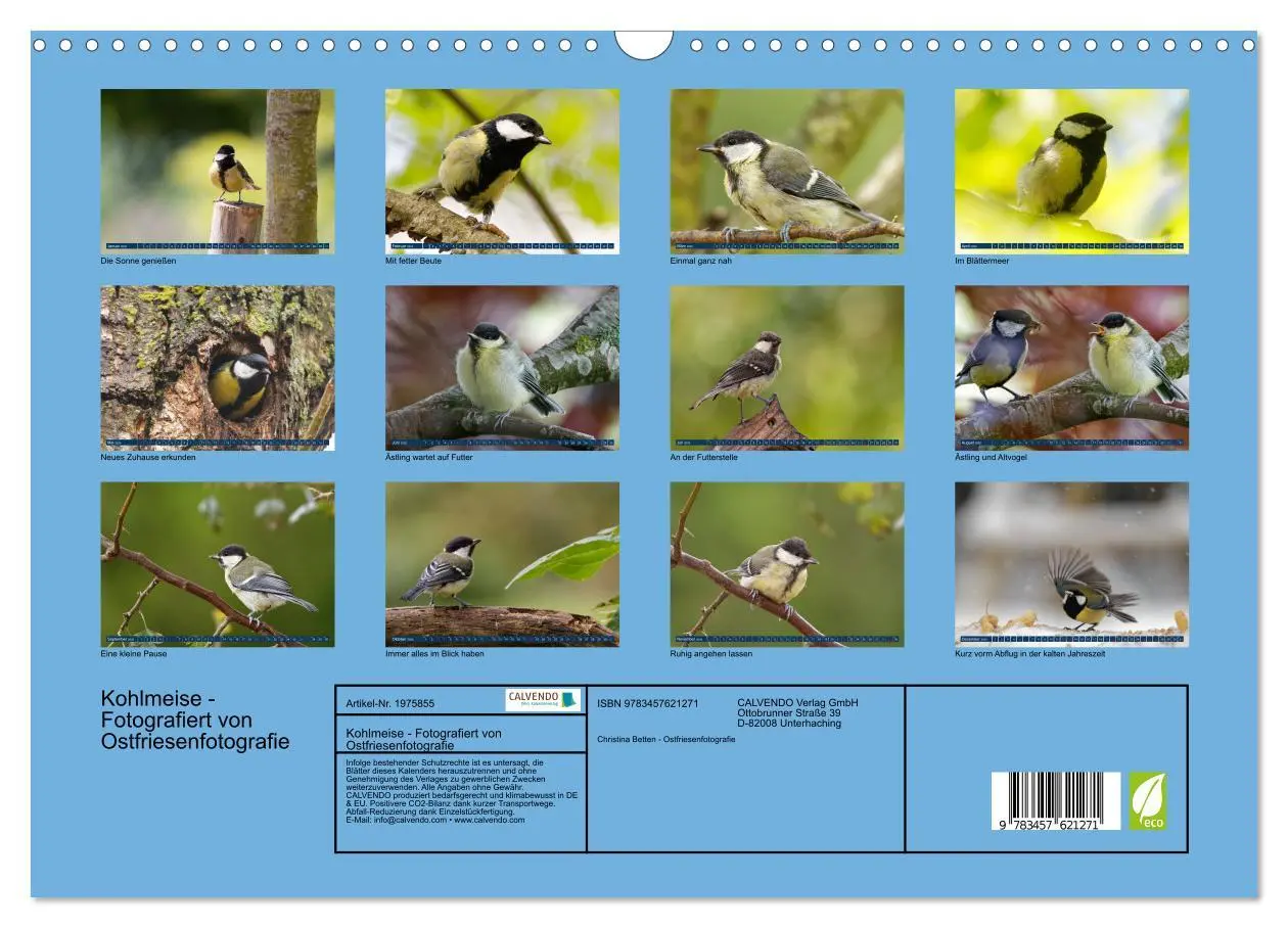 Bild: 9783457621271 | Kohlmeise - Fotografiert von Ostfriesenfotografie (Wandkalender...