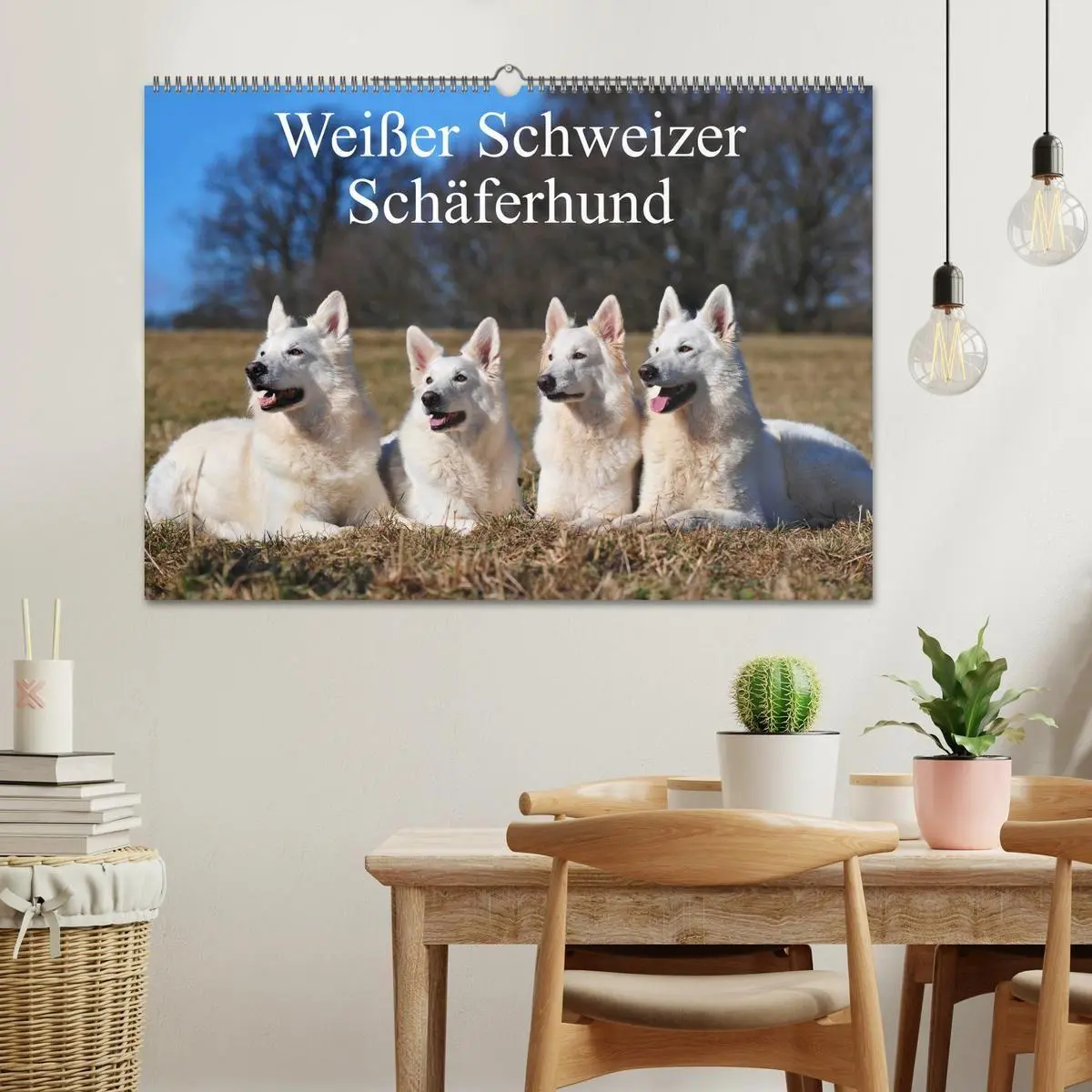 Bild: 9783594171271 | Weißer Schweizer Schäferhund (Wandkalender 2027 DIN A2 quer),...