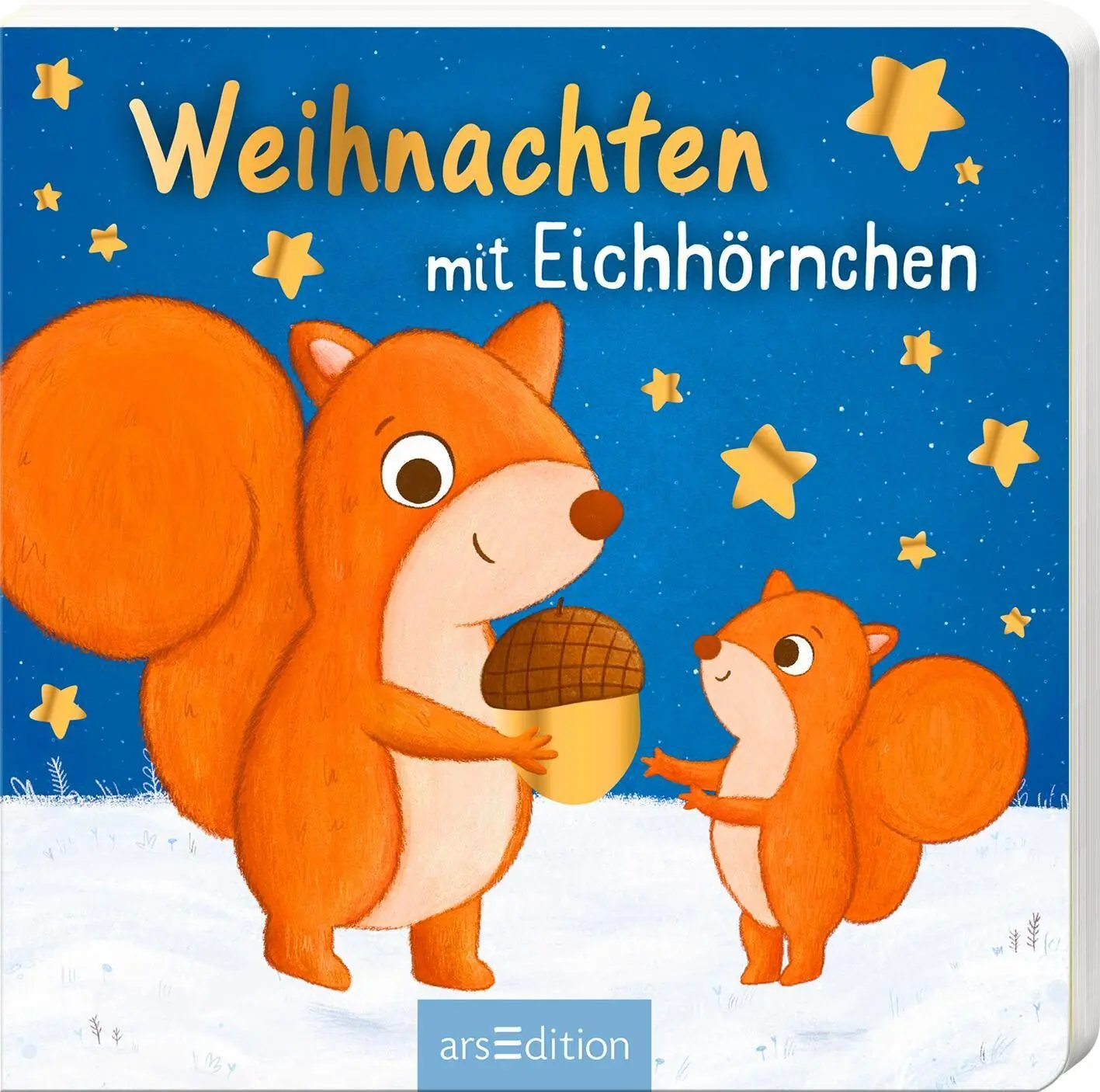 Cover: 9783845871271 | Weihnachten mit Eichhörnchen | Joschi Mühl | Buch | 12 S. | Deutsch
