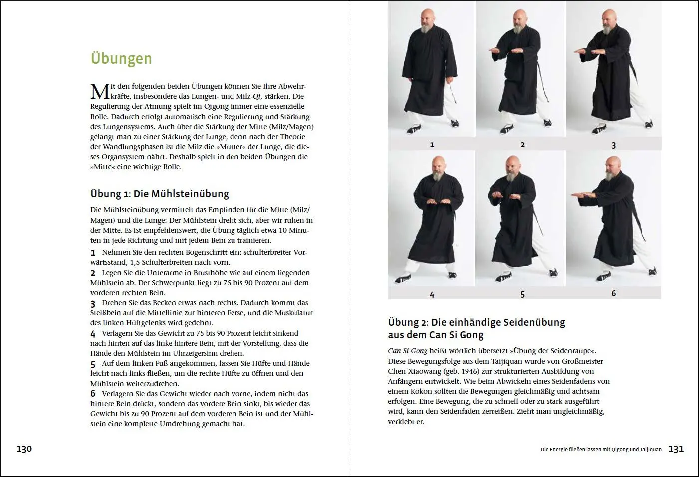 Bild: 9783962381271 | Grippe und Infekte (Yang Sheng 4) | Johannes Bernot (u. a.) | Buch