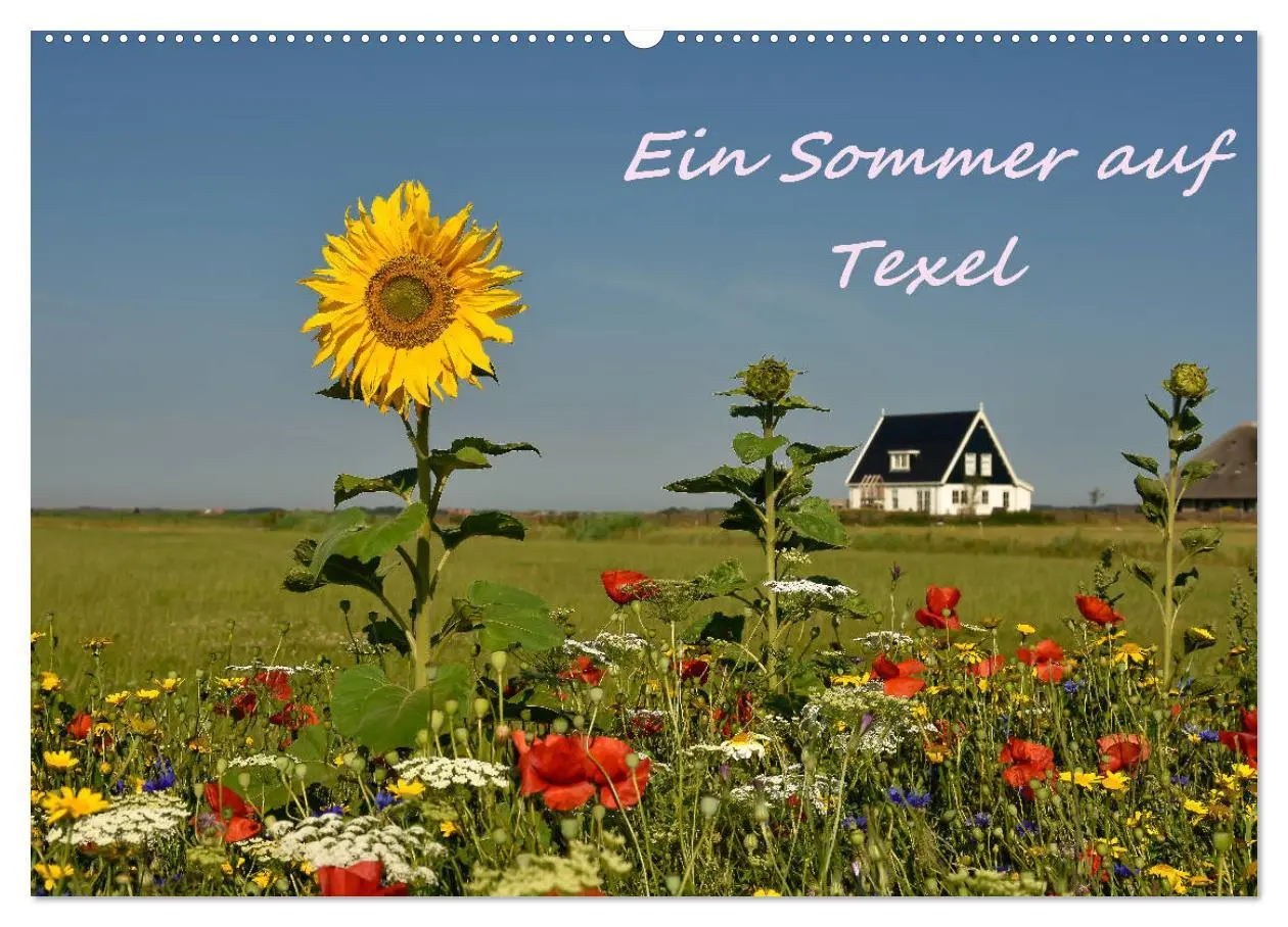Cover: 9783457851371 | Ein Sommer auf Texel (Wandkalender 2026 DIN A2 quer), CALVENDO...