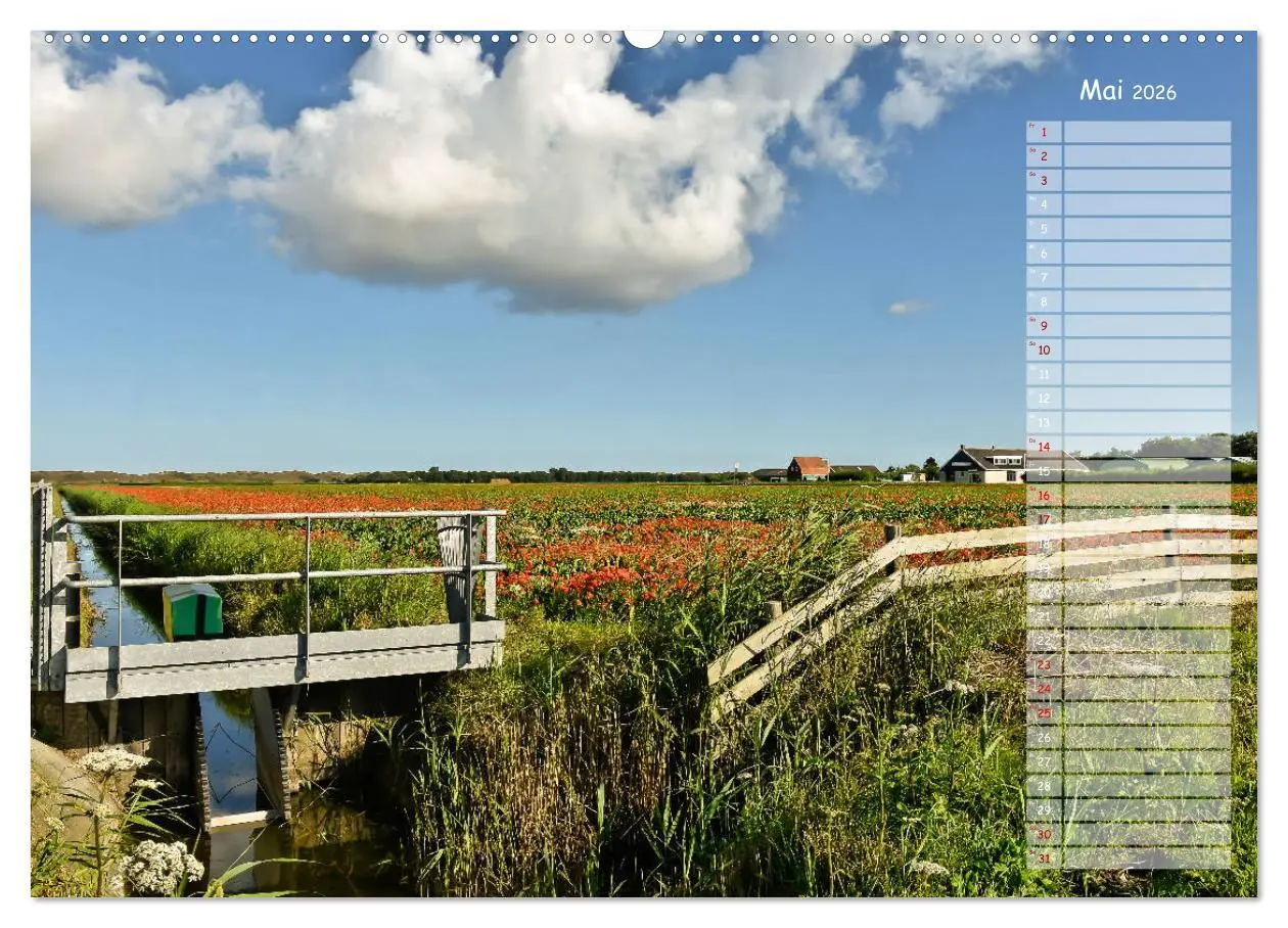 Bild: 9783457851371 | Ein Sommer auf Texel (Wandkalender 2026 DIN A2 quer), CALVENDO...