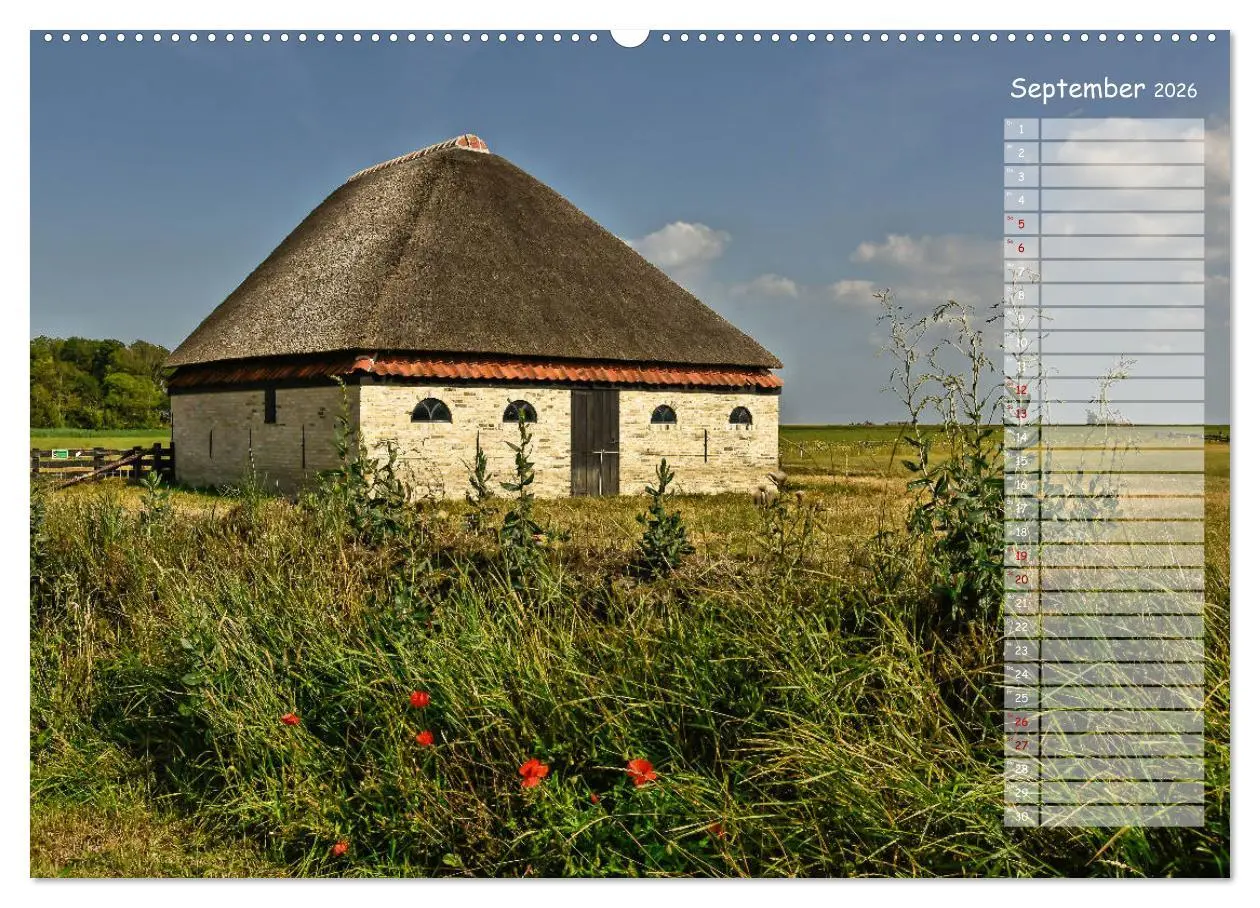Bild: 9783457851371 | Ein Sommer auf Texel (Wandkalender 2026 DIN A2 quer), CALVENDO...