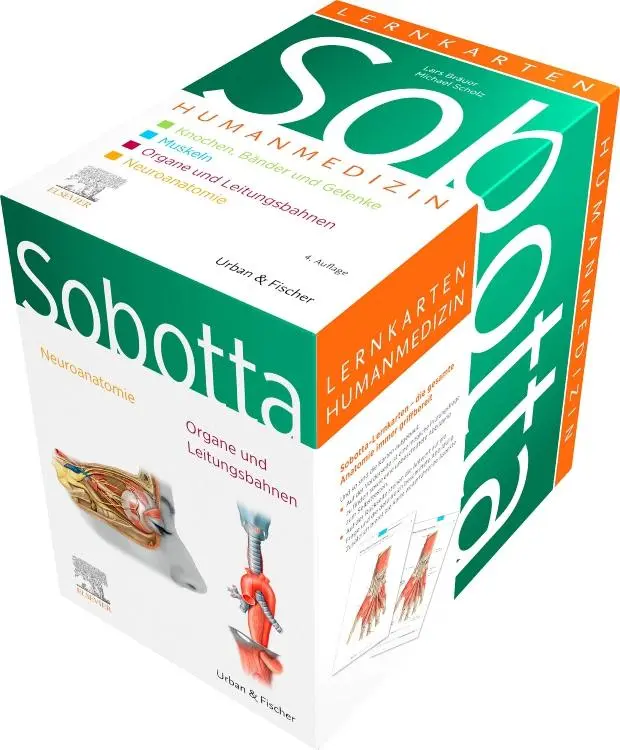 Cover: 9783437411571 | Sobotta Lernkarten Humanmedizin | Lars Bräuer (u. a.) | Box | Sobotta