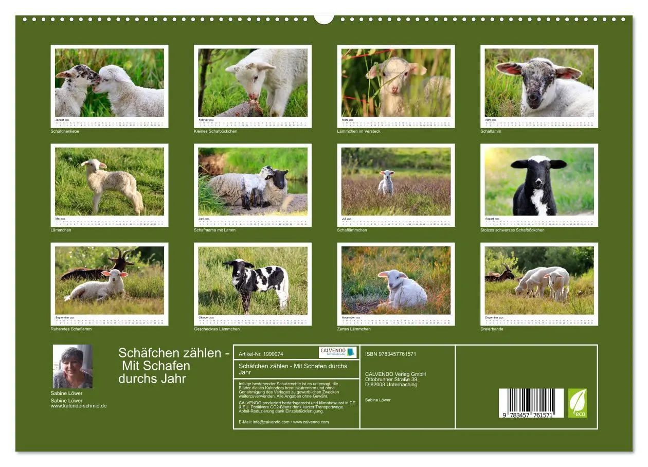 Bild: 9783457761571 | Schäfchen zählen - Mit Schafen durchs Jahr (hochwertiger Premium...