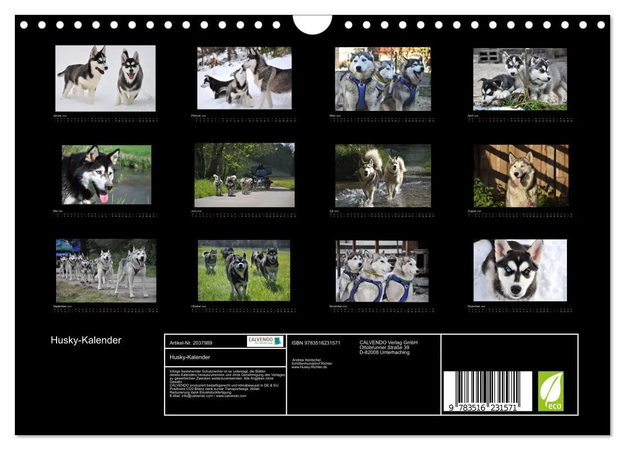 Bild: 9783516231571 | Husky-Kalender (Wandkalender 2026 DIN A4 quer), CALVENDO...