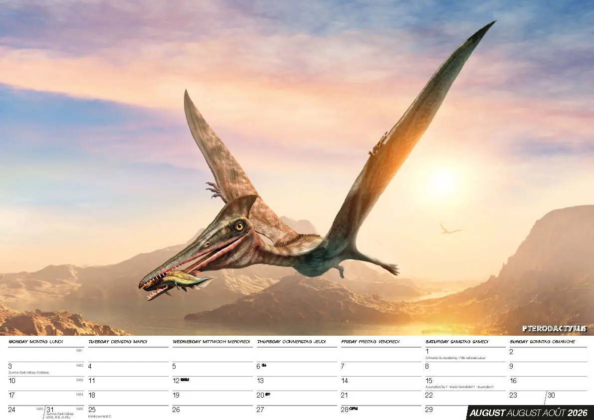 Bild: 9798893611571 | Dinos 2026: Dinosaurier Kalender | Kalender | 14 S. | Deutsch | 2026