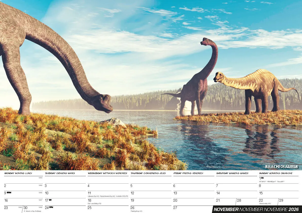 Bild: 9798893611571 | Dinos 2026: Dinosaurier Kalender | Kalender | 14 S. | Deutsch | 2026