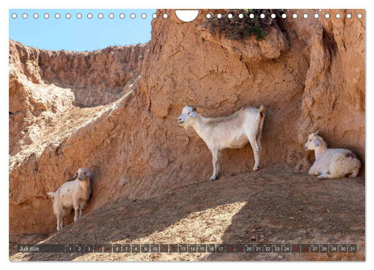 Bild: 9783457751671 | Kasachstan und Kirgistan (Wandkalender 2026 DIN A4 quer), CALVENDO...