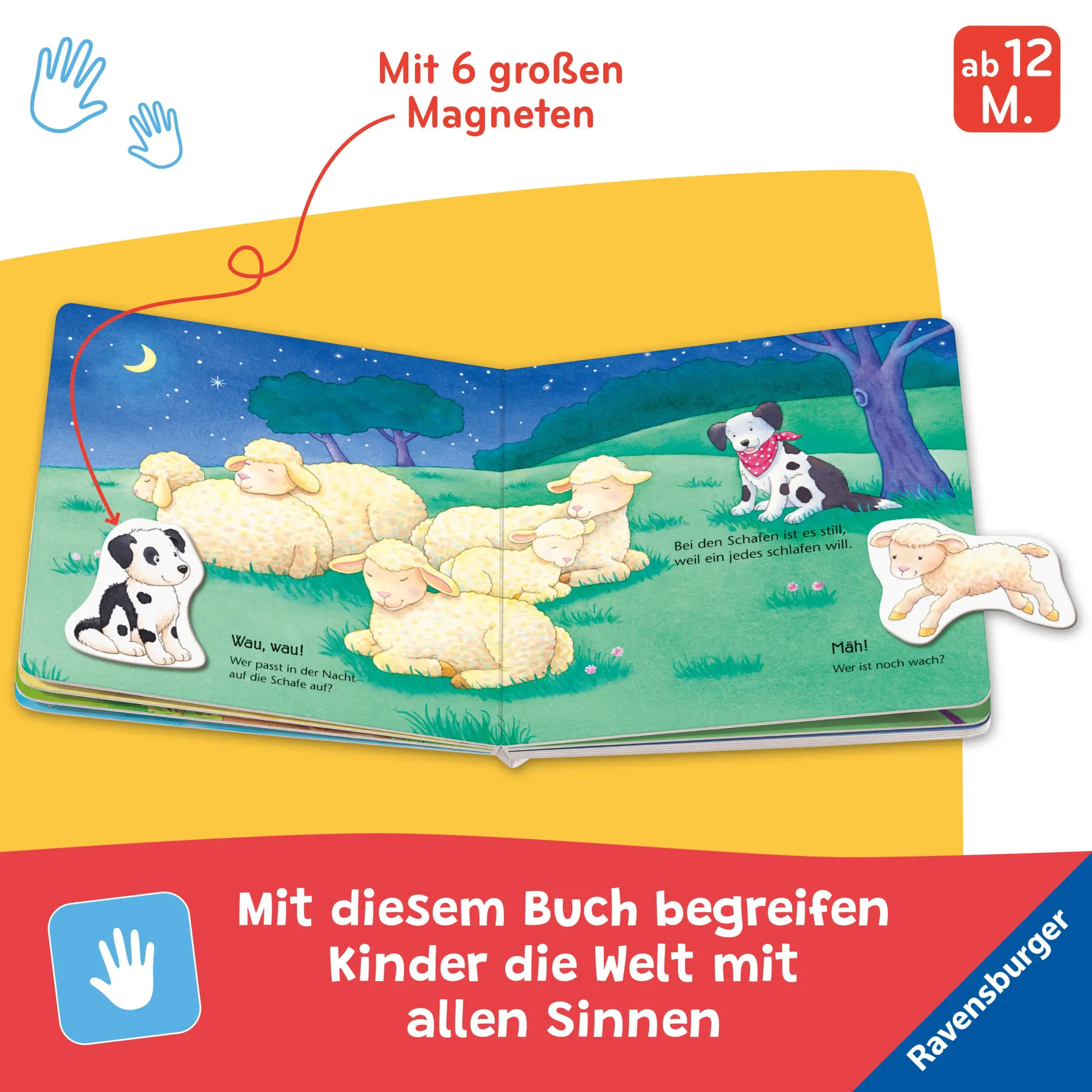 Bild: 9783473421671 | Mein erstes Magnetbuch - Wer spielt mit wem? Bauernhoftiere | Grimm