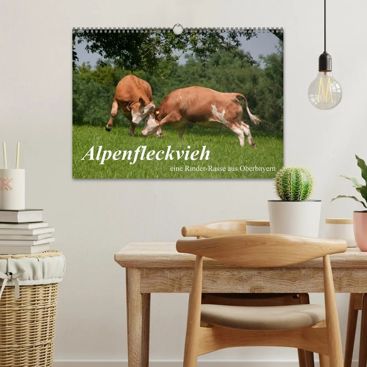 Bild: 9783516221671 | Alpenfleckvieh (Wandkalender 2026 DIN A3 quer), CALVENDO...