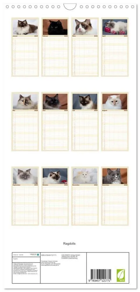 Bild: 9783457121771 | Familienplaner 2025 - Ragdolls mit 5 Spalten (Wandkalender, 21 x 45...