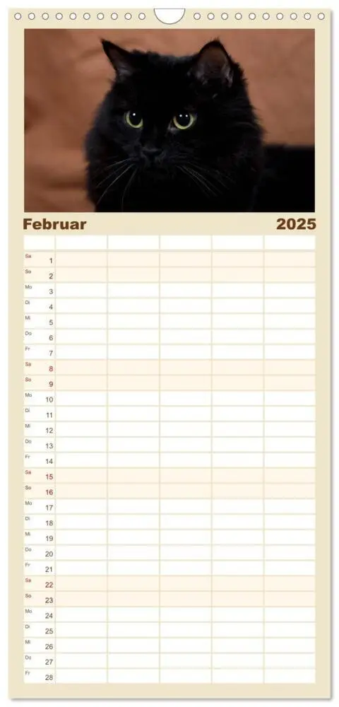 Bild: 9783457121771 | Familienplaner 2025 - Ragdolls mit 5 Spalten (Wandkalender, 21 x 45...
