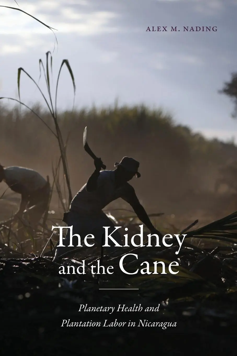 Cover: 9781478031871 | The Kidney and the Cane | Alex M Nading | Taschenbuch | Englisch