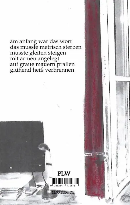 Rückseite: 9783384471871 | Phoenix auf der Fensterbank | Prosa und Gedichte | Ingo Sundmacher